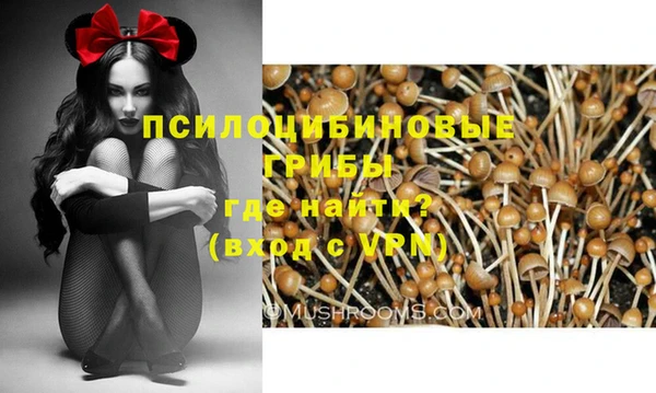 спиды Абинск