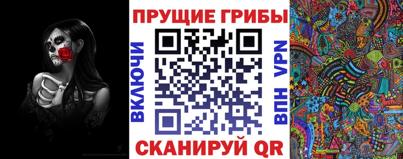 Галлюциногенные грибы Cubensis  цена наркотик  Чегем 